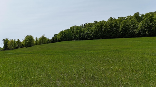N Jacobson Rd, Northport, MI 49670 - photo 5