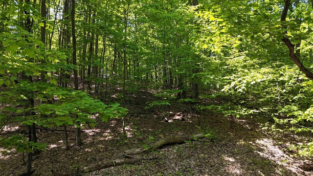 N Jacobson Rd, Northport, MI 49670 - photo 7