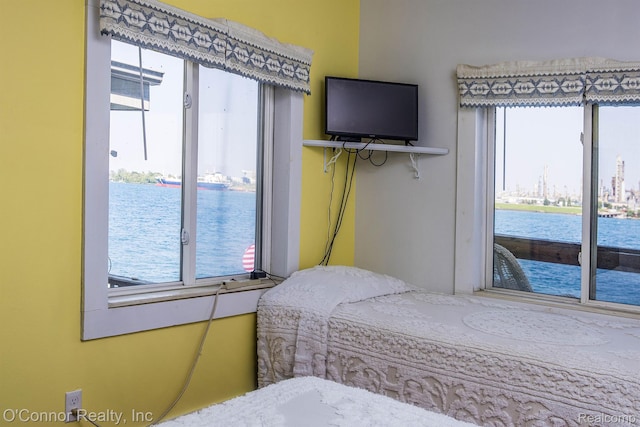 105 Gratiot Blvd, Marysville, MI 48040 - bedroom with multiple windows and access to exterior