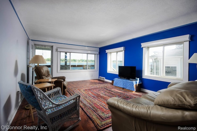 105 Gratiot Blvd, Marysville, MI 48040 - living room featuring baseboards, wood finished floors, plenty of natural light, and a textured ceiling