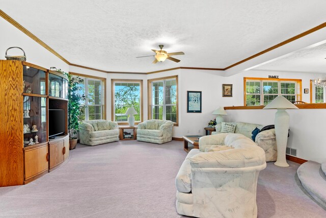 8401 S Sullivan Rd, Cedar, MI 49621 - photo 18