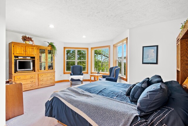8401 S Sullivan Rd, Cedar, MI 49621 - photo 20