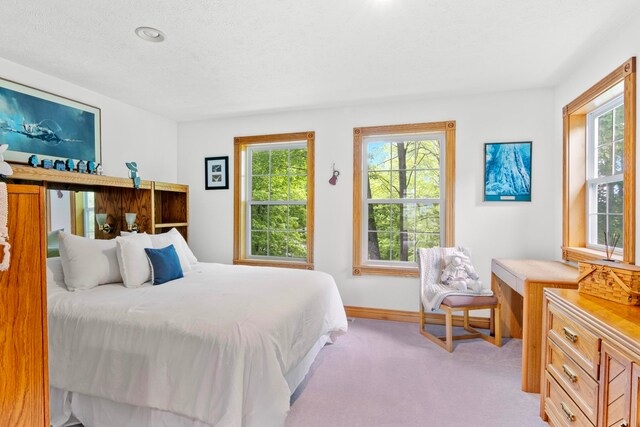 8401 S Sullivan Rd, Cedar, MI 49621 - photo 24