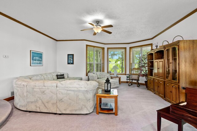 8401 S Sullivan Rd, Cedar, MI 49621 - photo 32