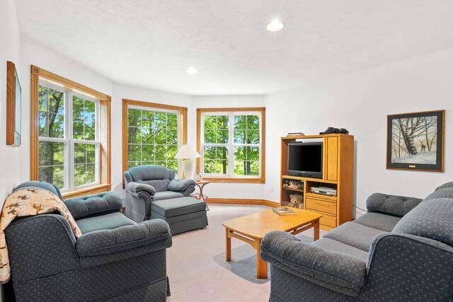 8401 S Sullivan Rd, Cedar, MI 49621 - photo 39