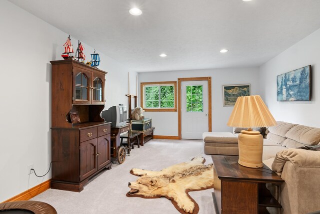 8401 S Sullivan Rd, Cedar, MI 49621 - photo 41