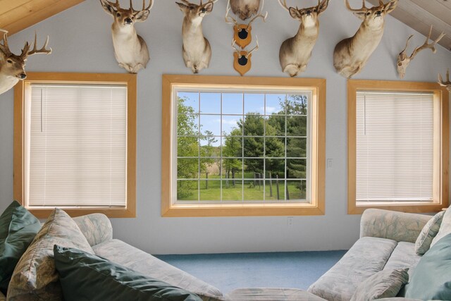 8401 S Sullivan Rd, Cedar, MI 49621 - photo 72