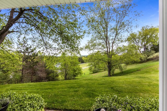 8401 S Sullivan Rd, Cedar, MI 49621 - photo 8