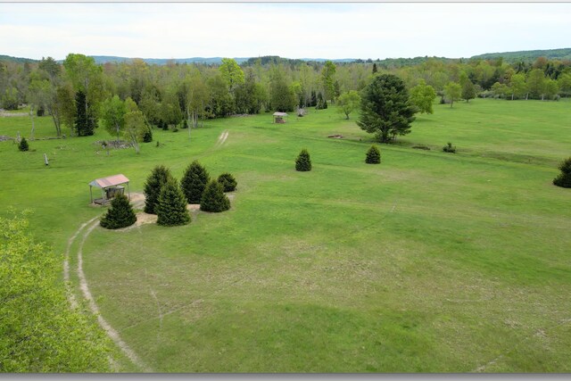 8401 S Sullivan Rd, Cedar, MI 49621 - photo 88