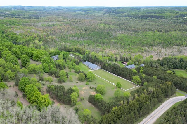 8401 S Sullivan Rd, Cedar, MI 49621 - photo 95