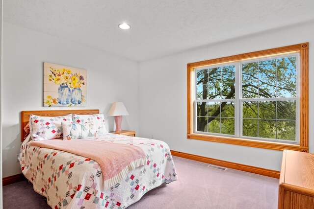 8401 S Sullivan Rd, Cedar, MI 49621 - photo 25