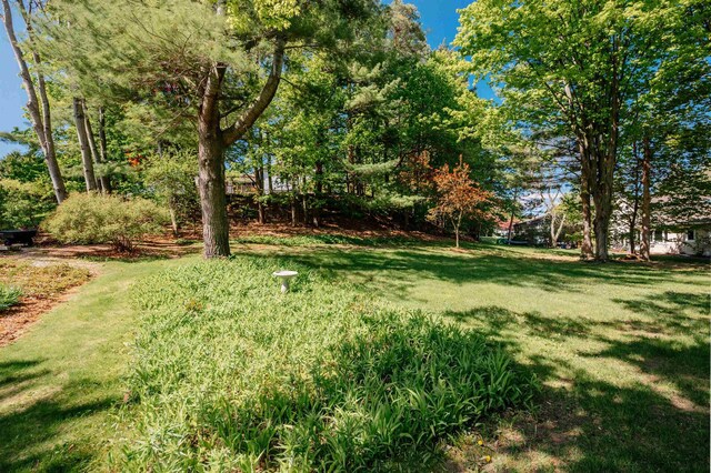 8173 Bel Cherrie Dr, Traverse City, MI 49686 - photo 44