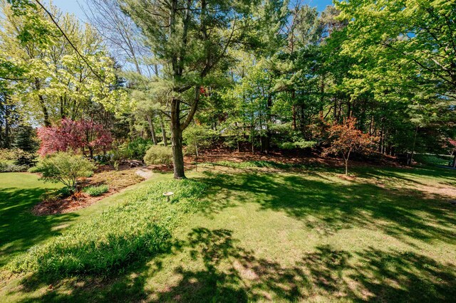 8173 Bel Cherrie Dr, Traverse City, MI 49686 - photo 47
