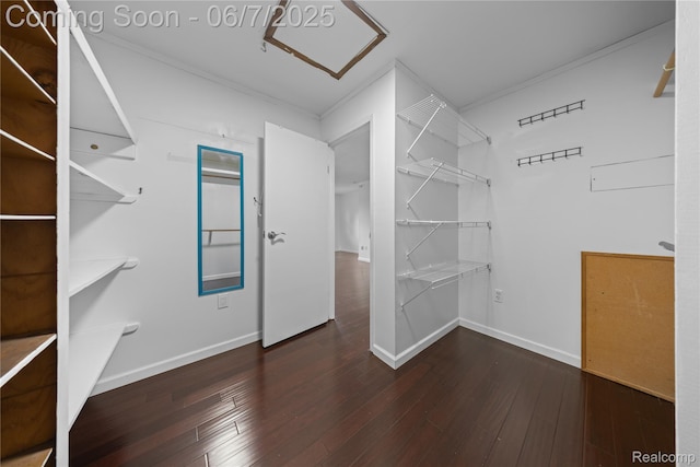 1633 Fleetwood Dr, Troy, MI 48098 - walk in closet with wood-type flooring