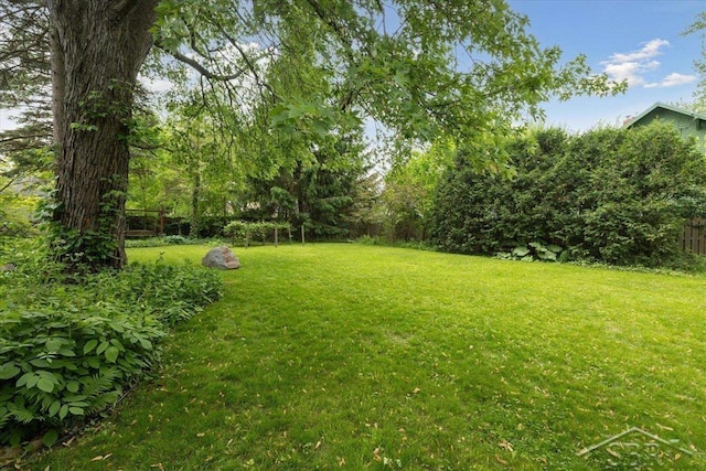 2505 Court St, Saginaw, MI 48602 - view of yard