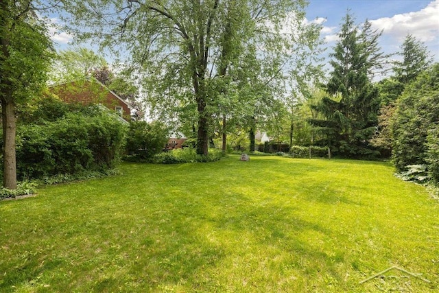 2505 Court St, Saginaw, MI 48602 - view of green lawn