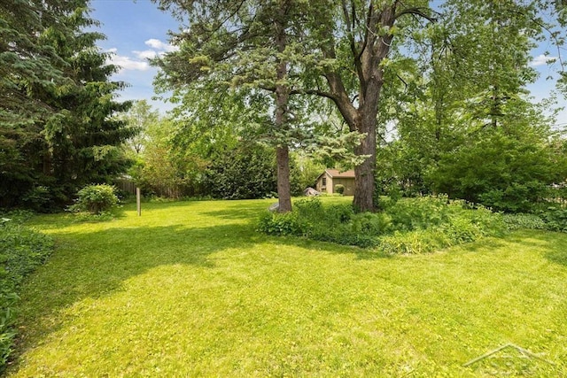 2505 Court St, Saginaw, MI 48602 - view of green lawn