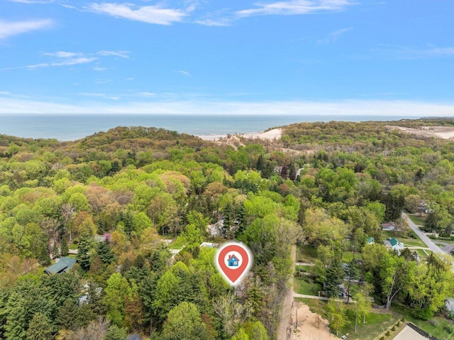 12270 Linden Ave, Sawyer, MI 49125 - bird's eye view of a forest and a nearby body of water