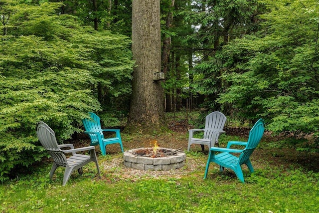 12270 Linden Ave, Sawyer, MI 49125 - view of yard featuring a fire pit and a view of trees
