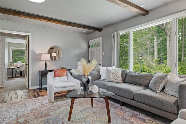 12270 Linden Ave, Sawyer, MI 49125 - living room featuring beam ceiling, wood finished floors, and baseboards