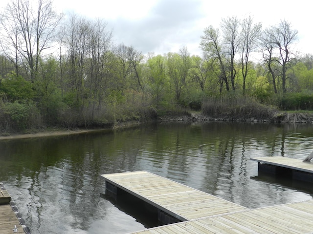 626 Swan River Dr, Benton Harbor, MI 49022 - photo 43