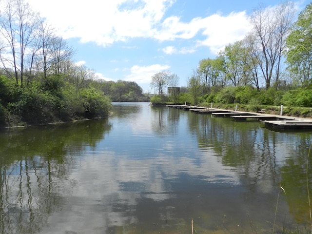 626 Swan River Dr, Benton Harbor, MI 49022 - photo 45