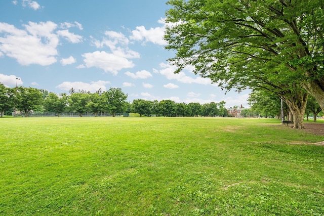 1512 Shadford Rd, Ann Arbor, MI 48104 - view of yard