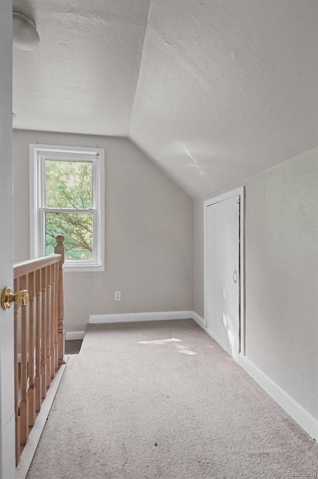 1621 Greenbrook Ln, Flint, MI 48507 - bonus room with carpet floors, vaulted ceiling, and a textured ceiling