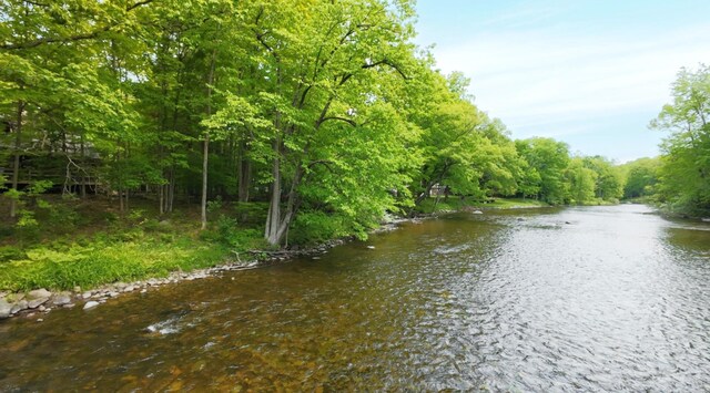 3725 Riverbank Trl, Mount Pleasant, MI 48858
