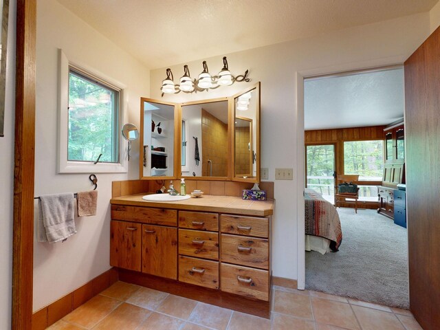 3725 Riverbank Trl, Mount Pleasant, MI 48858