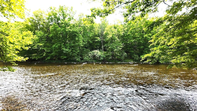 3725 Riverbank Trl, Mount Pleasant, MI 48858