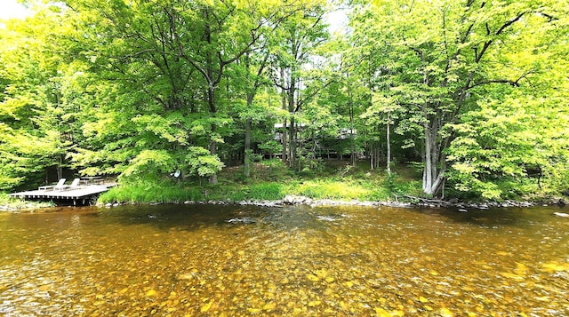 3725 Riverbank Trl, Mount Pleasant, MI 48858