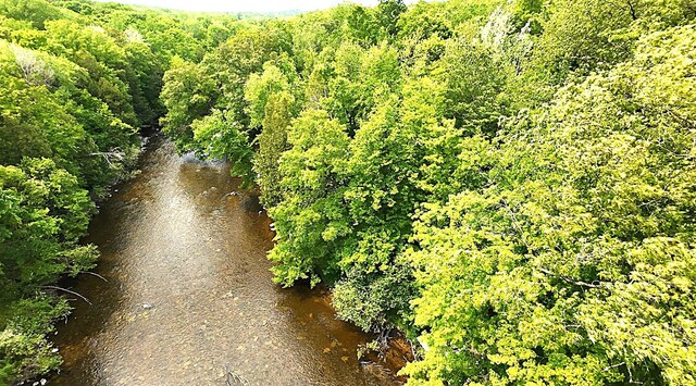 3725 Riverbank Trl, Mount Pleasant, MI 48858
