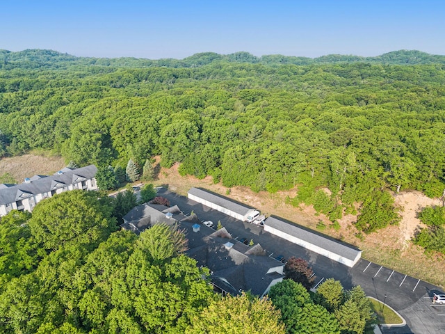 18372 N Ridge Ct Unit 12, Spring Lake, MI 49456 - bird's eye view of a forest