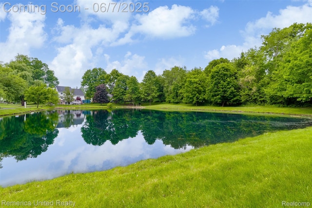 2663 Maple Forest Dr, Wixom, MI 48393 - water view