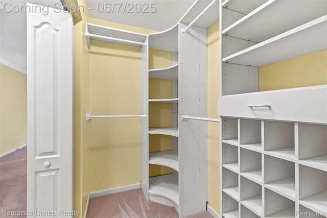 2663 Maple Forest Dr, Wixom, MI 48393 - walk in closet featuring carpet