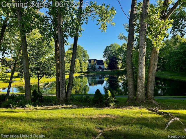 2663 Maple Forest Dr, Wixom, MI 48393 - view of green lawn featuring a water view and view of wooded area