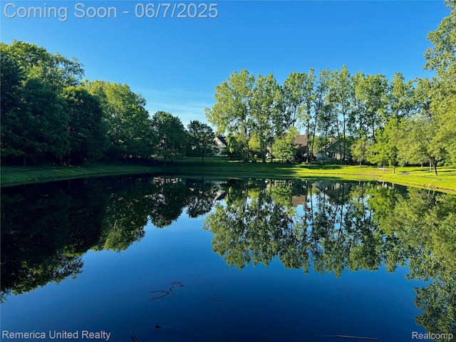 2663 Maple Forest Dr, Wixom, MI 48393 - water view