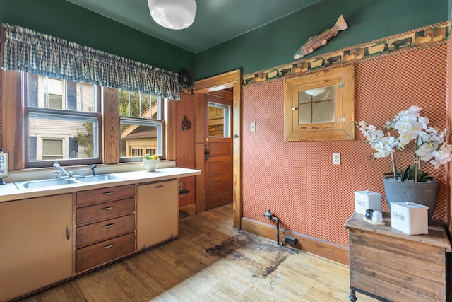 810 N Superior St, Albion, MI 49224 - kitchen featuring wood finished floors, a sink, and light countertops