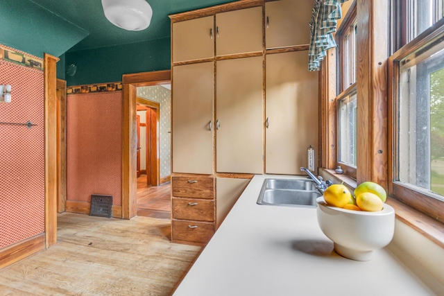 810 N Superior St, Albion, MI 49224 - kitchen with a sink, light wood-style floors, and light countertops
