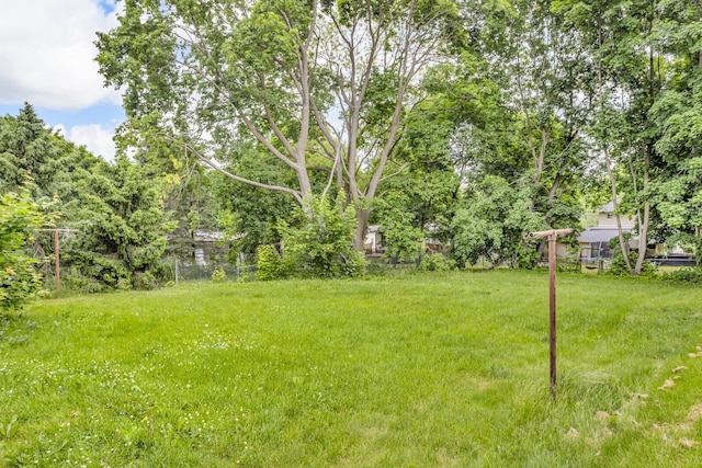 810 N Superior St, Albion, MI 49224 - view of yard