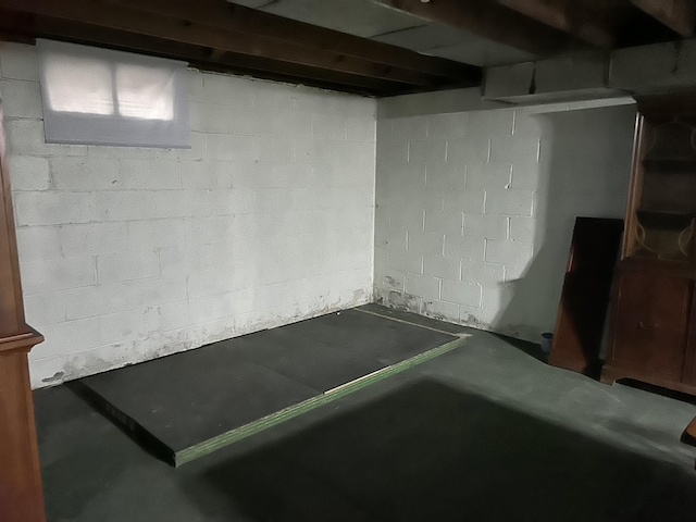 201 Goodell Ave, Colon, MI 49040 - view of unfinished basement