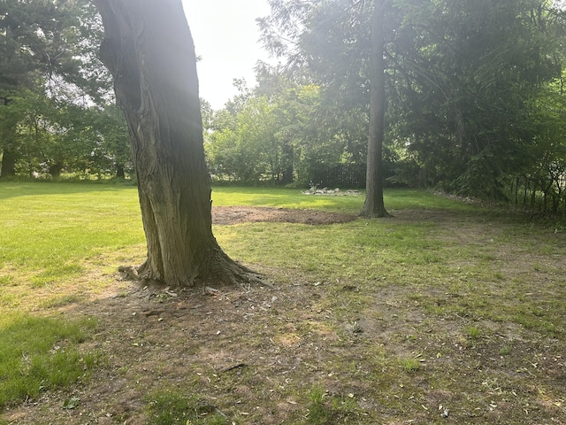 201 Goodell Ave, Colon, MI 49040 - view of grassy yard