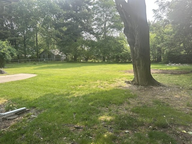 201 Goodell Ave, Colon, MI 49040 - view of yard