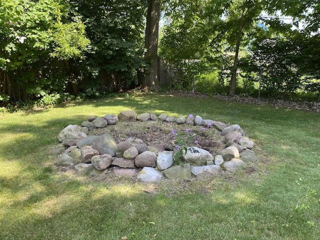 201 Goodell Ave, Colon, MI 49040 - view of yard