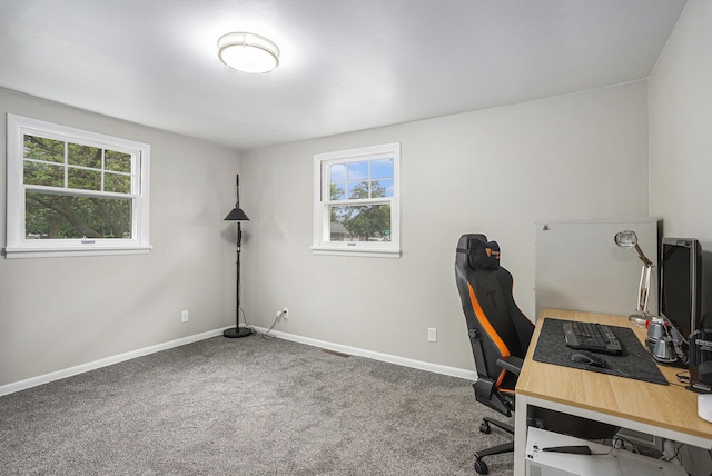 1012 E Hatch St, Sturgis, MI 49091 - carpeted office space featuring healthy amount of natural light and baseboards