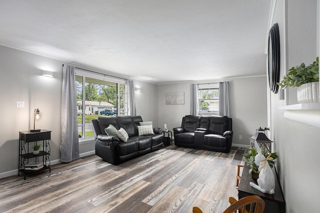 1012 E Hatch St, Sturgis, MI 49091 - living room featuring wood finished floors, crown molding, and baseboards