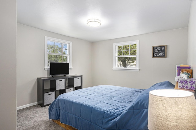 1012 E Hatch St, Sturgis, MI 49091 - bedroom with dark colored carpet and baseboards
