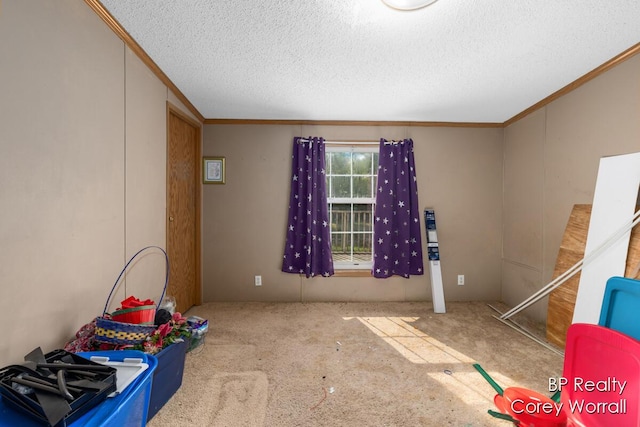 23375 W Howard City-Edmore Rd, Howard City, MI 49329 - game room featuring crown molding, a textured ceiling, and carpet