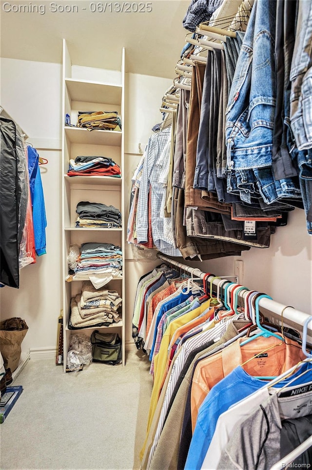 3050 High Hillcrest Dr, Howell, MI 48843 - walk in closet with carpet